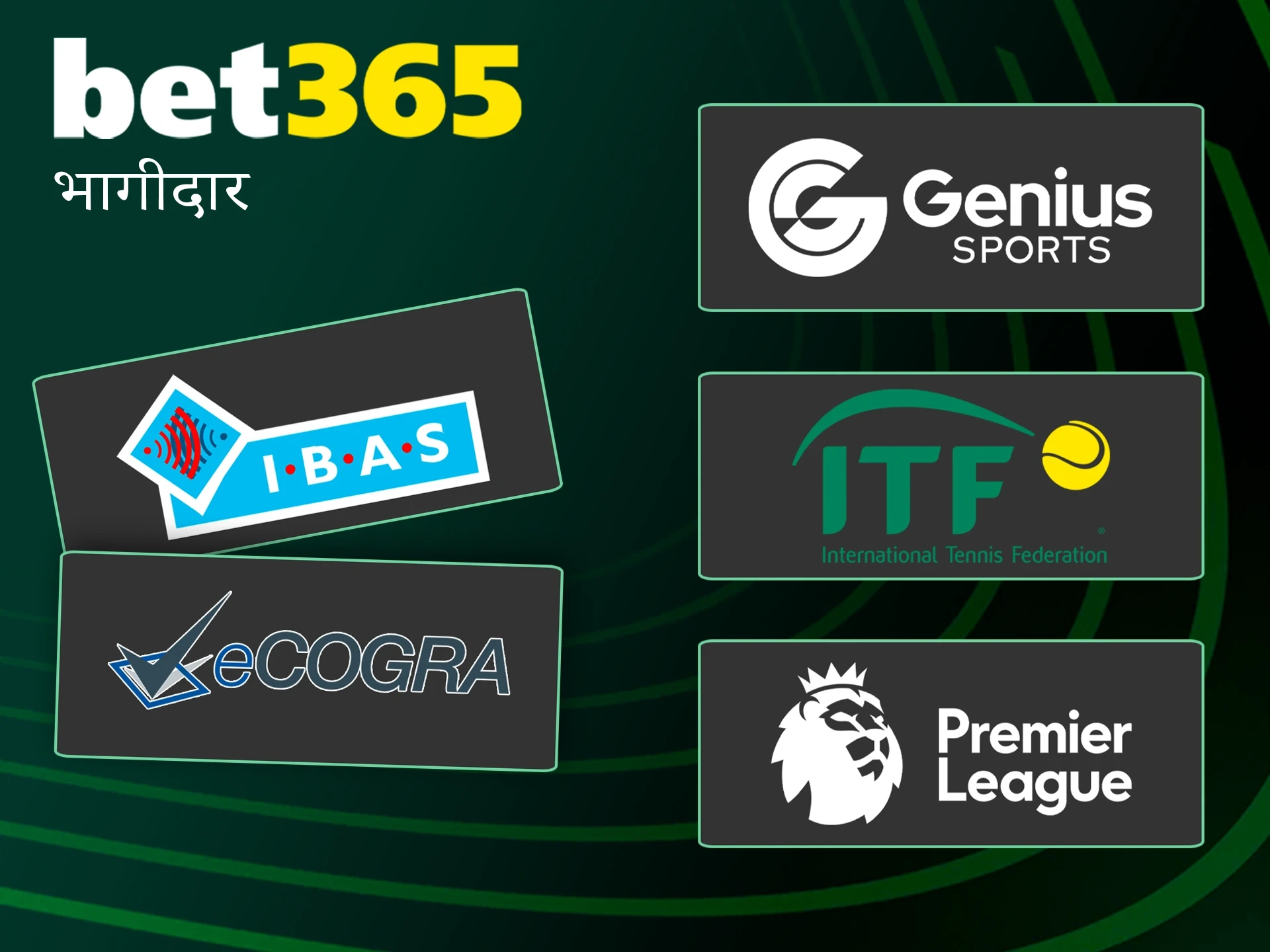 Bet365 के मुख्य भागीदारों से मिलें।